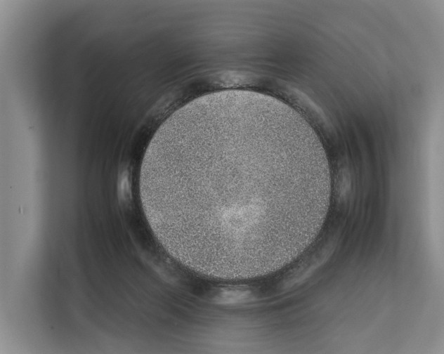 X0000111650214200908281056