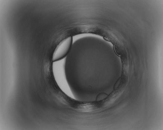 X0000111650219200908281056