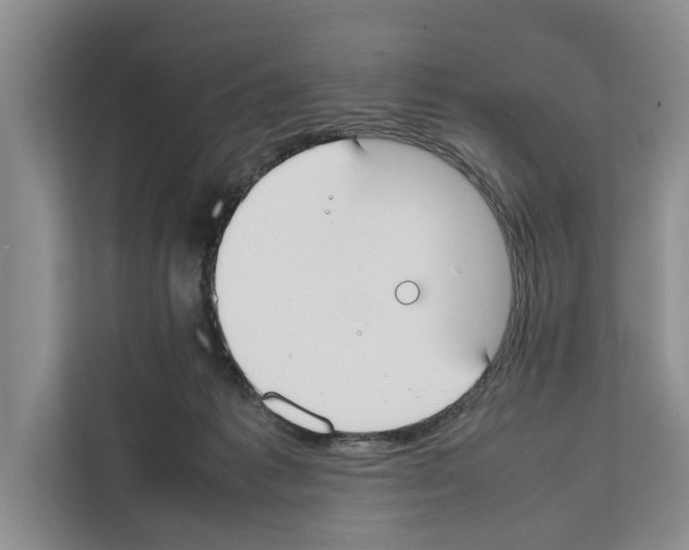 X0000111650221200908281056