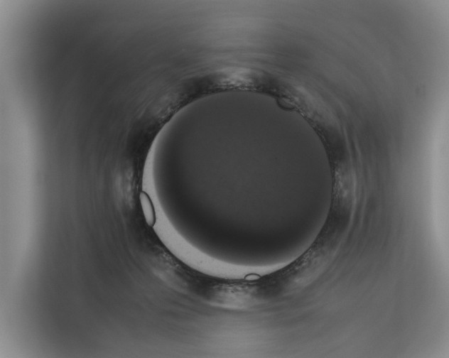 X0000111650223200908281055