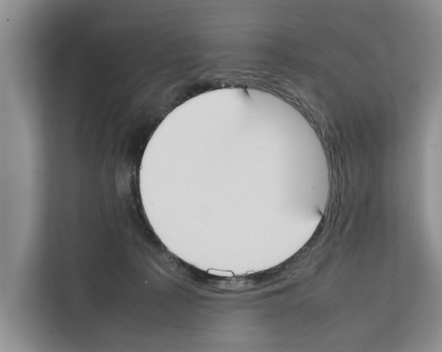 X0000111650225200908281055