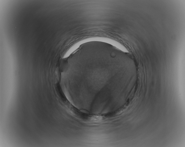 X0000111650227200908281055