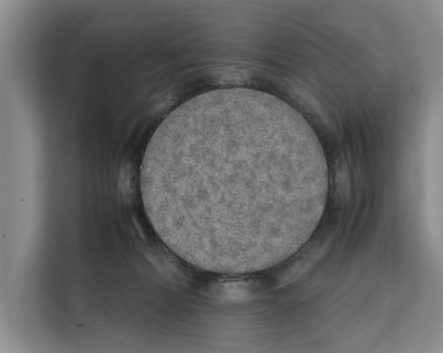X0000111650228200908281055