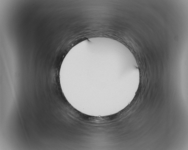 X0000111650229200908281055