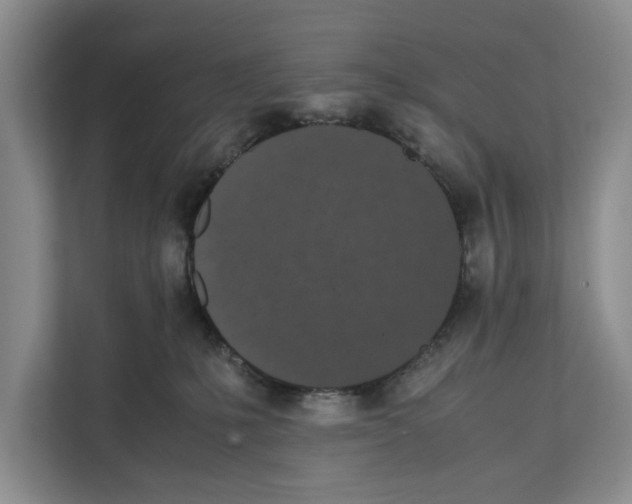 X0000111650231200908281055