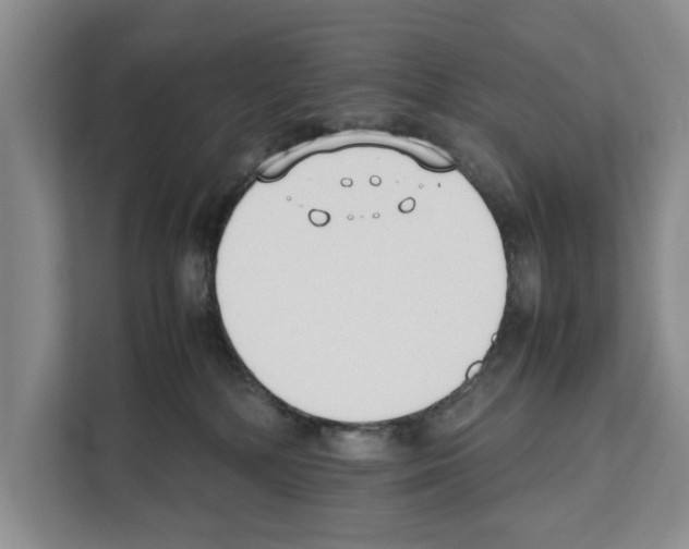 X0000111650232200908281055