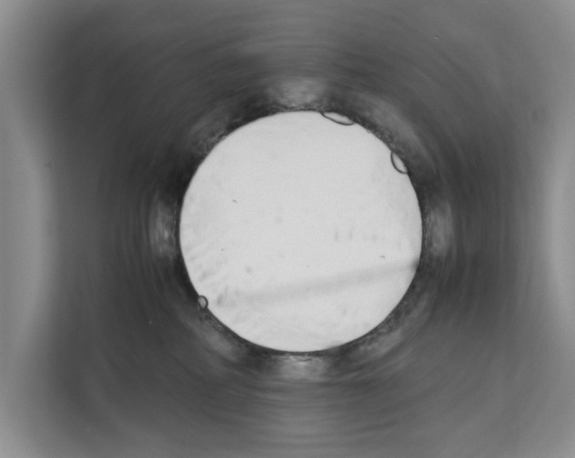 X0000111650234200908281055
