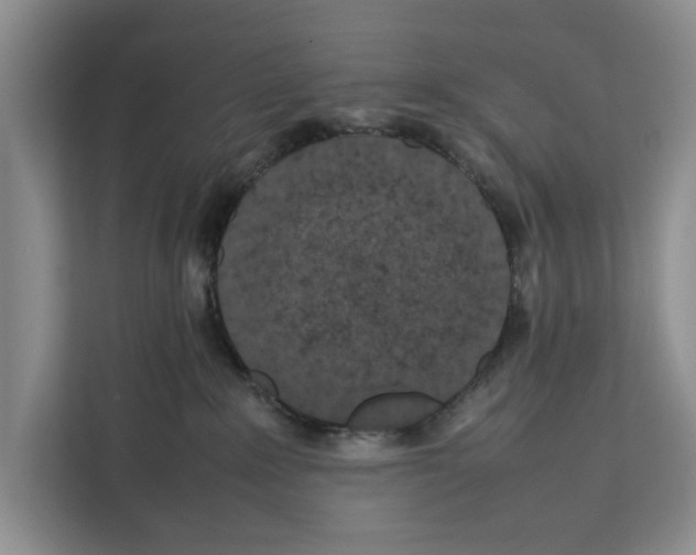 X0000111650235200908281055