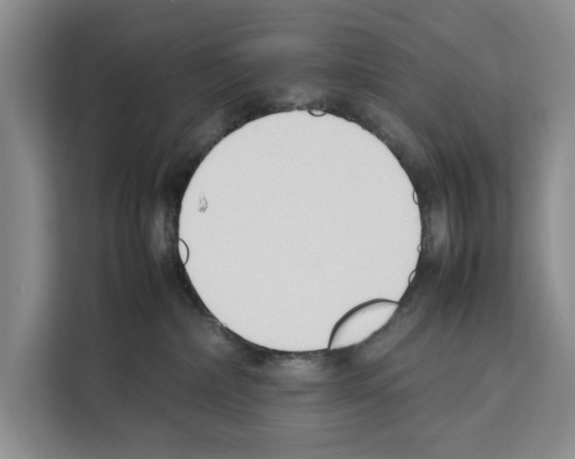 X0000111650236200908281055