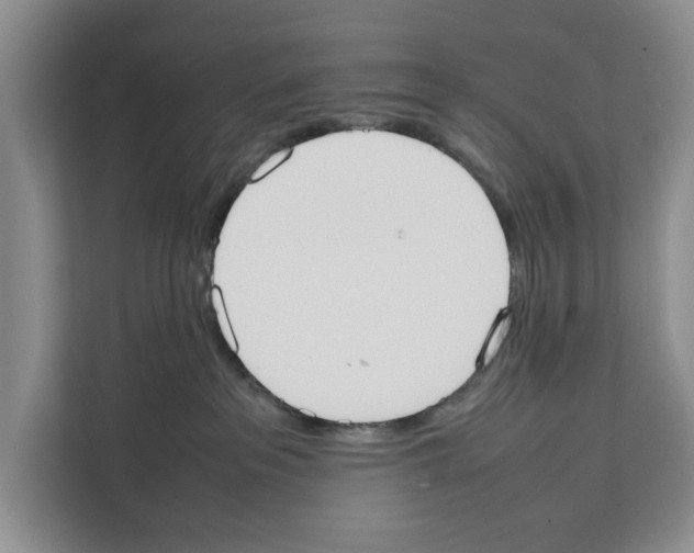 X0000111650237200908281055