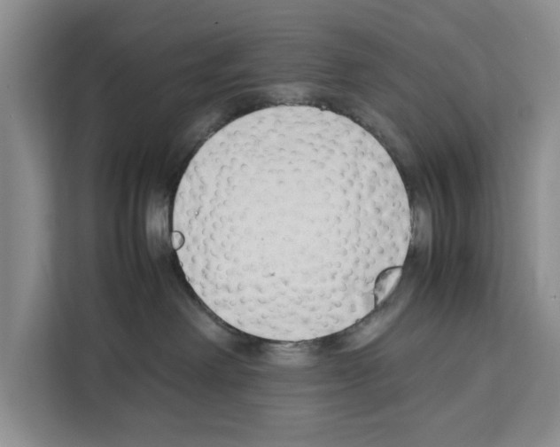 X0000111650238200908281055
