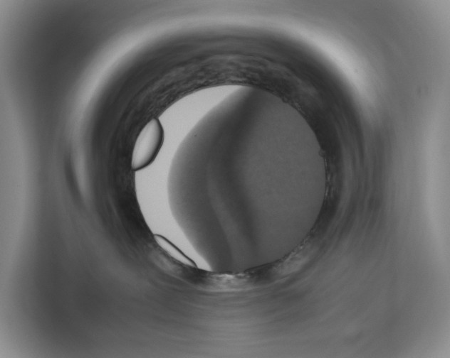 X0000111650239200908281055