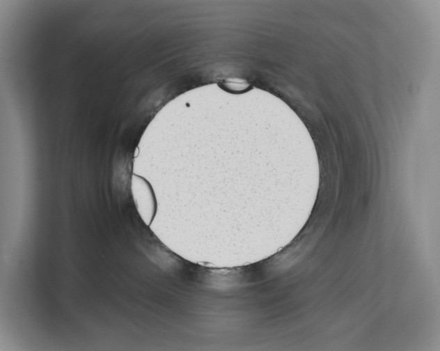 X0000111650240200908281055