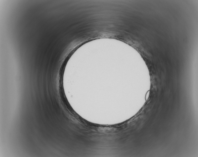 X0000111650242200908281055