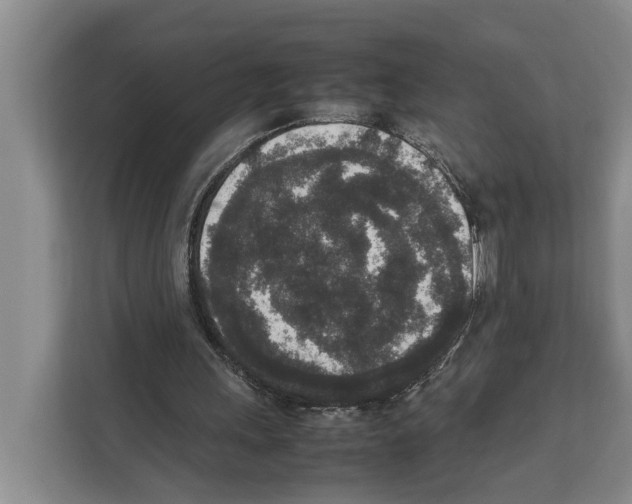 X0000111650243200908281055