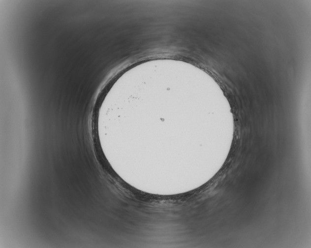 X0000111650244200908281055