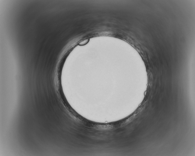 X0000111650245200908281055