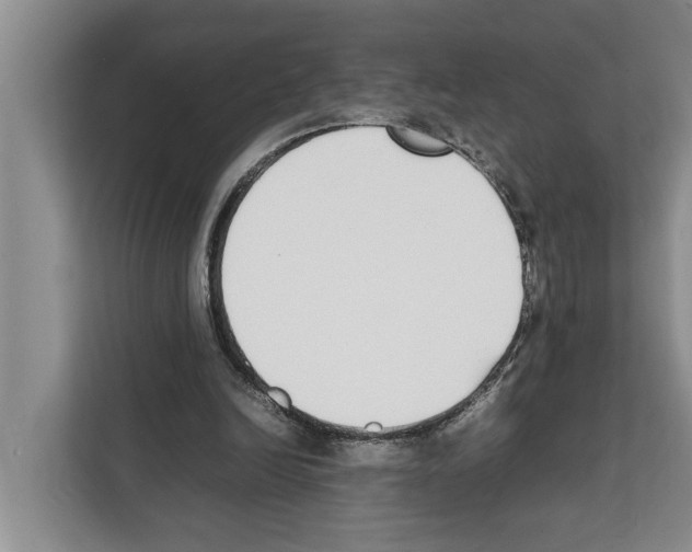 X0000111650246200908281055