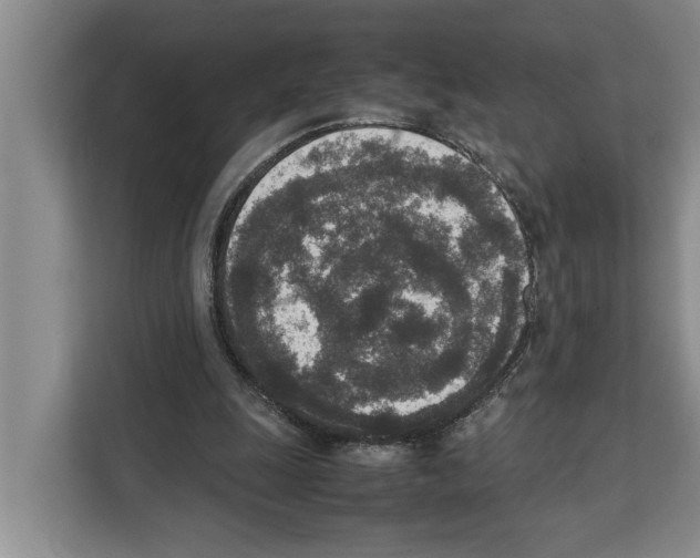 X0000111650247200908281055