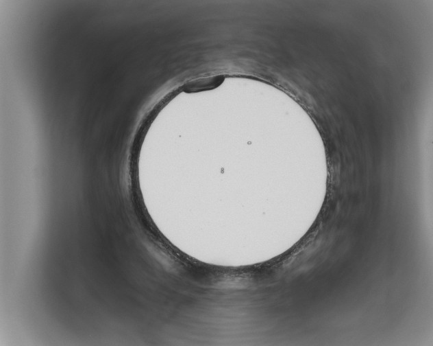 X0000111650248200908281055