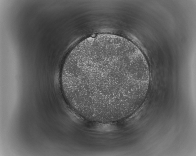 X0000111650249200908281055