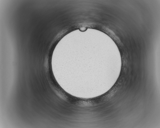 X0000111650250200908281055