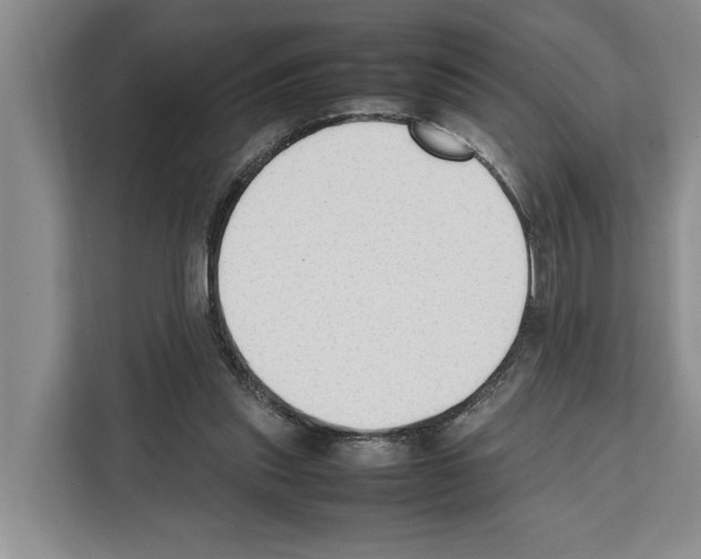 X0000111650253200908281055