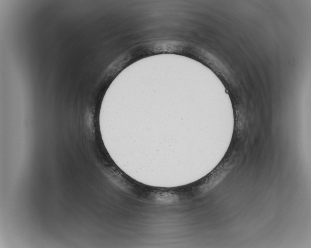 X0000111650258200908281055