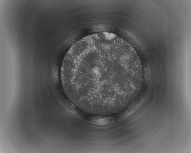 X0000111650267200908281055