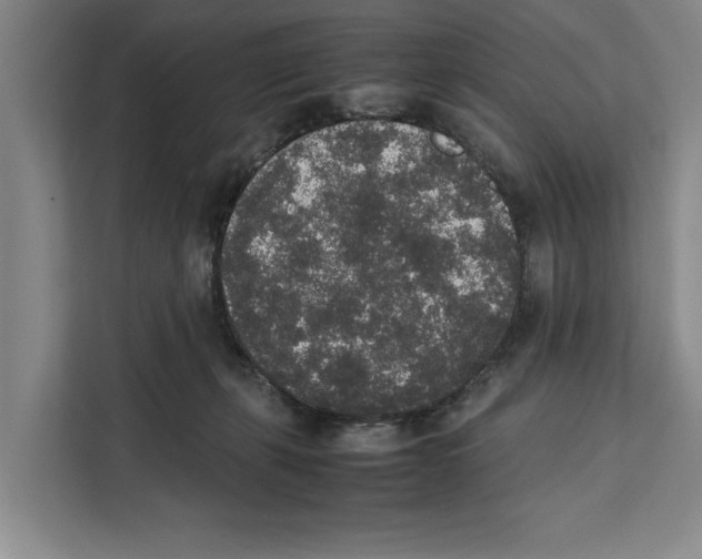 X0000111650271200908281055