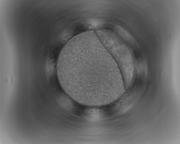 X0000111650276200908281055