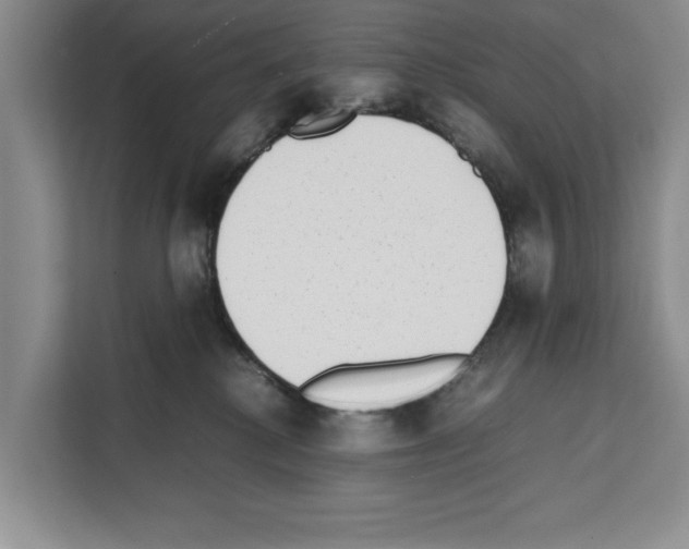 X0000111650280200908281055