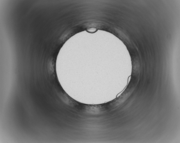 X0000111650282200908281055