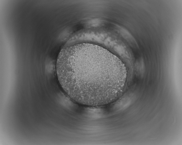 X0000111650284200908281055