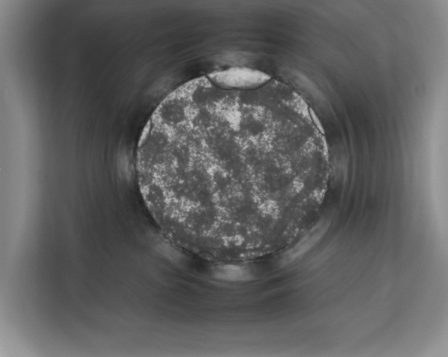 X0000111650285200908281055