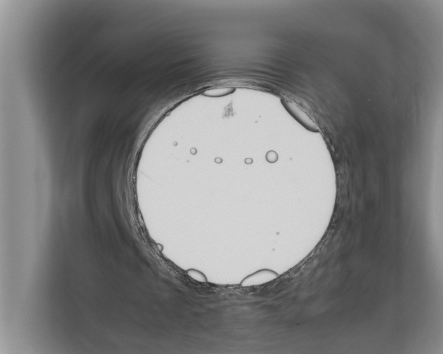 X0000111650289200908281055