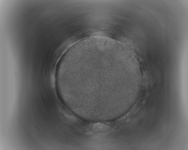 X0000111650290200908281055