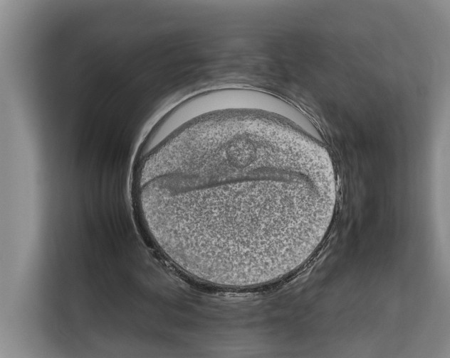 X0000111650292200908281055