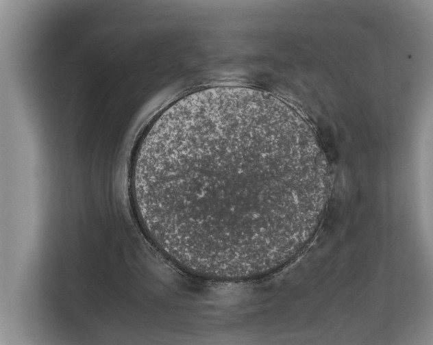 X0000111650293200908281055