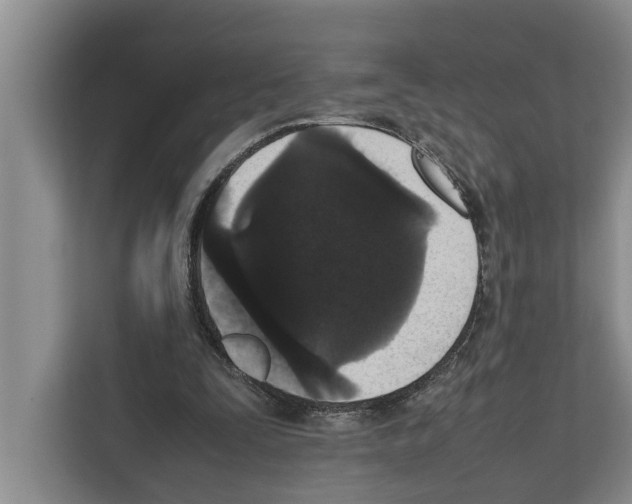 X0000111650295200908281055