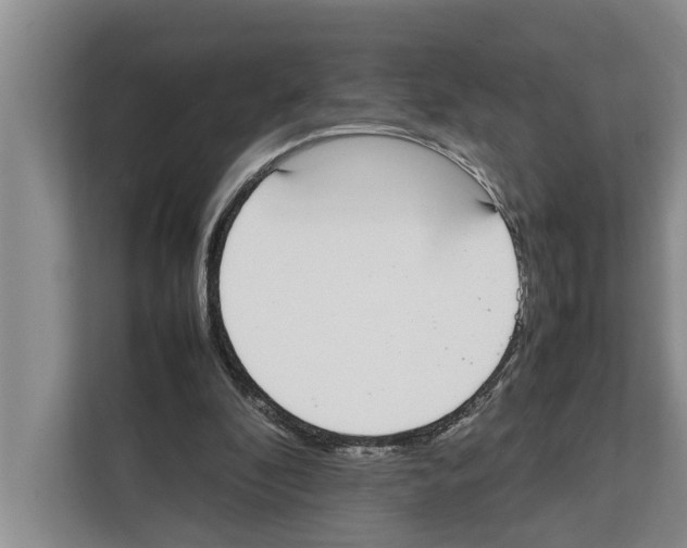X0000111650296200908281055