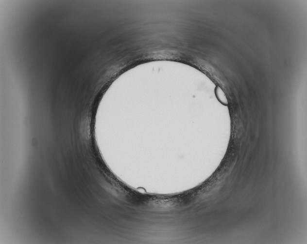 X0000111650299200908281054
