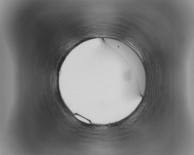 X0000111650301200908281054