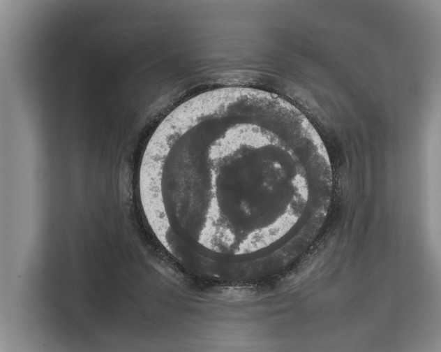 X0000111650303200908281054