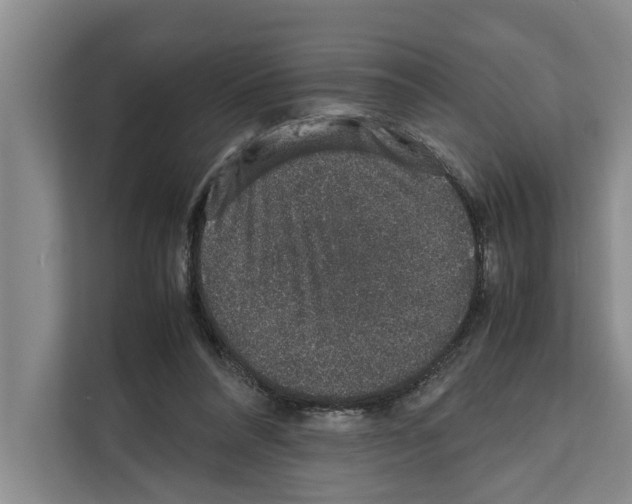 X0000111650304200908281054