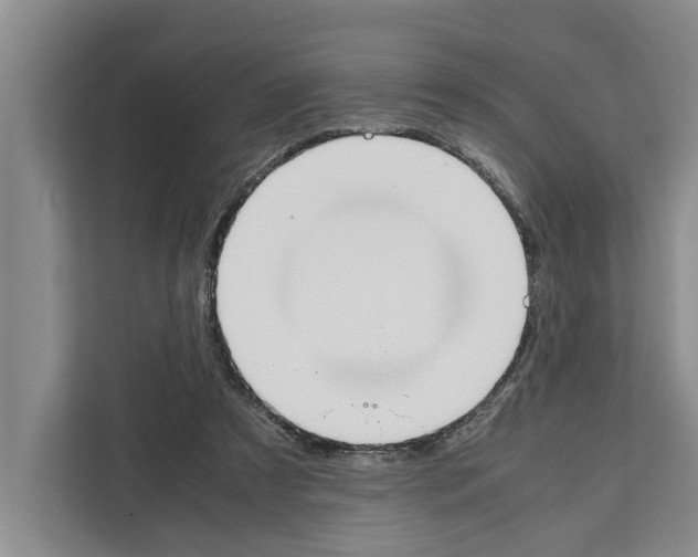 X0000111650305200908281054