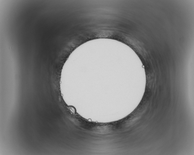 X0000111650307200908281054