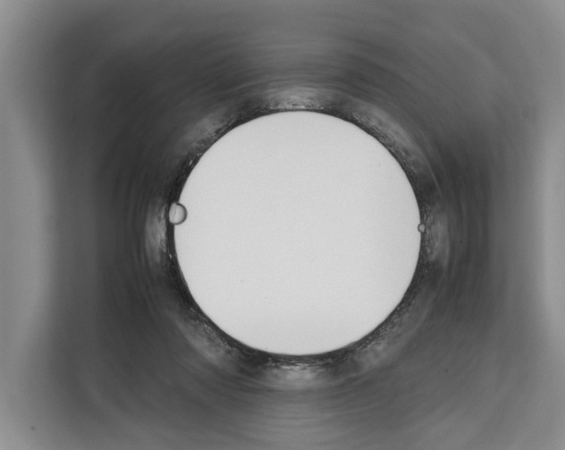 X0000111650310200908281054