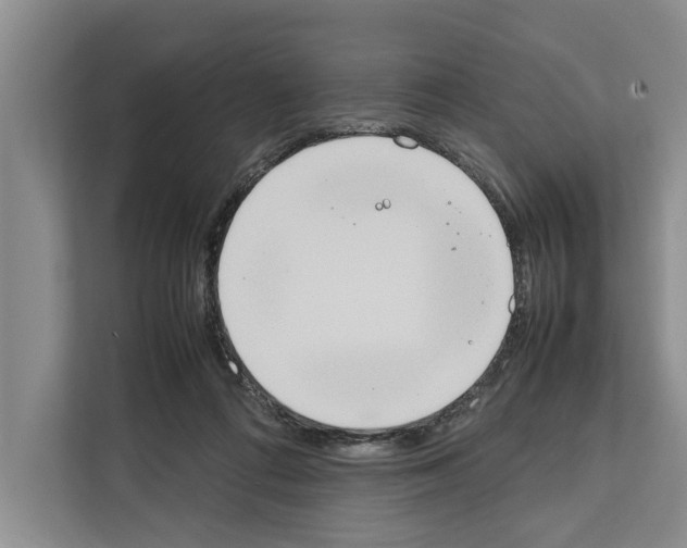 X0000111650312200908281054