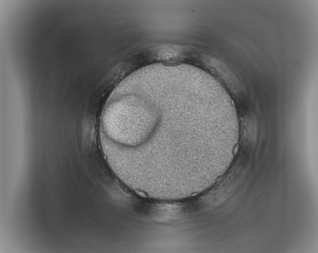 X0000111650313200908281054